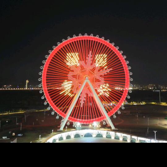 哈尔滨各大景区挖婆婆丁