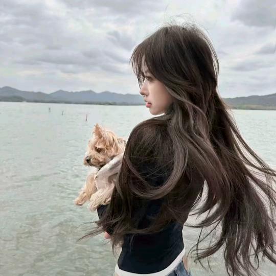 刘亦菲