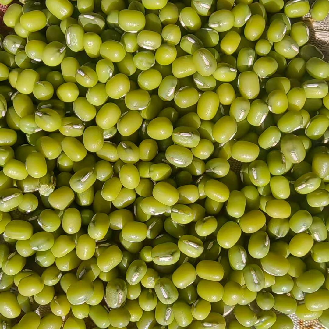 于永——绿豆红豆购销