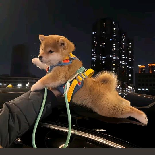 小剩儿