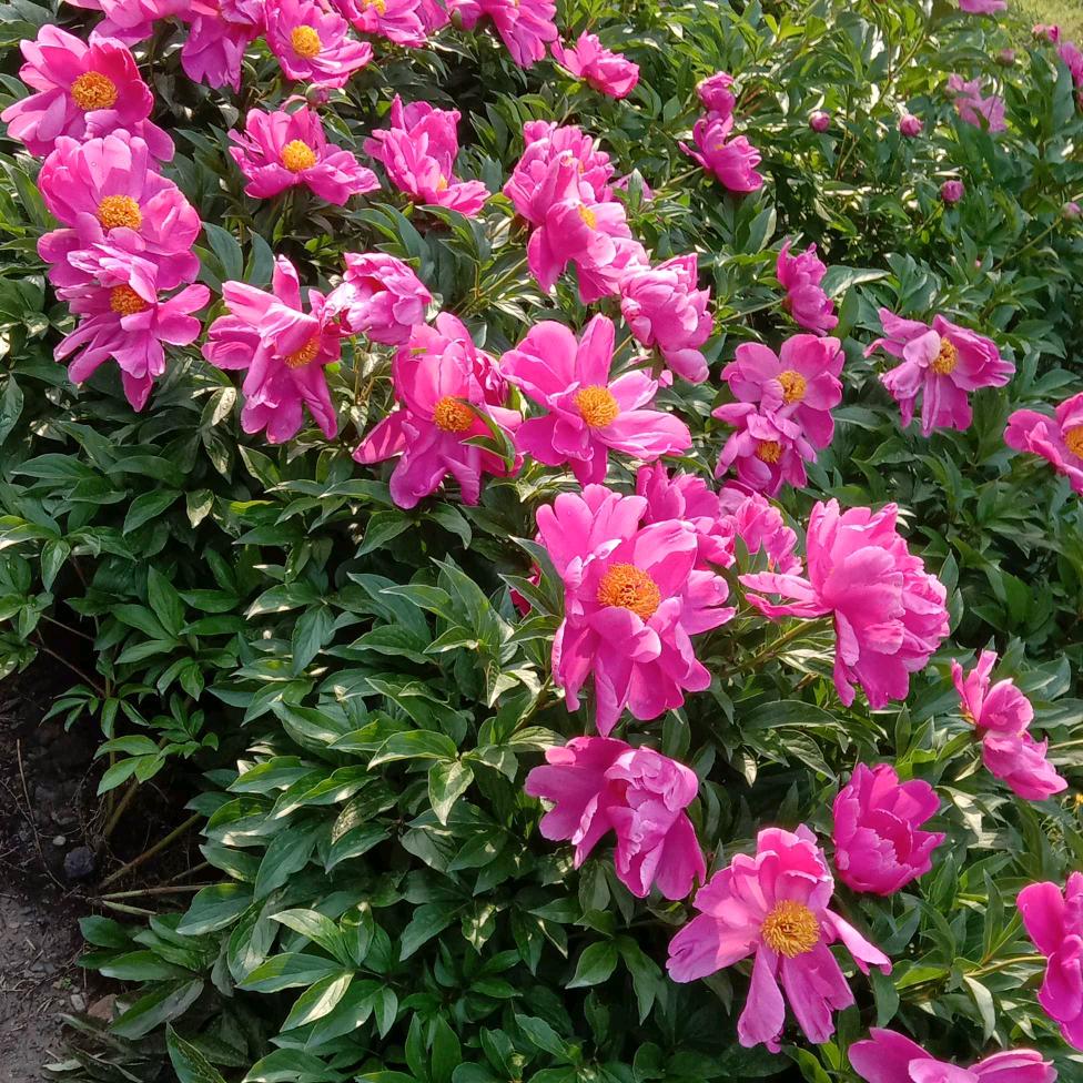 人一辈子开心快乐