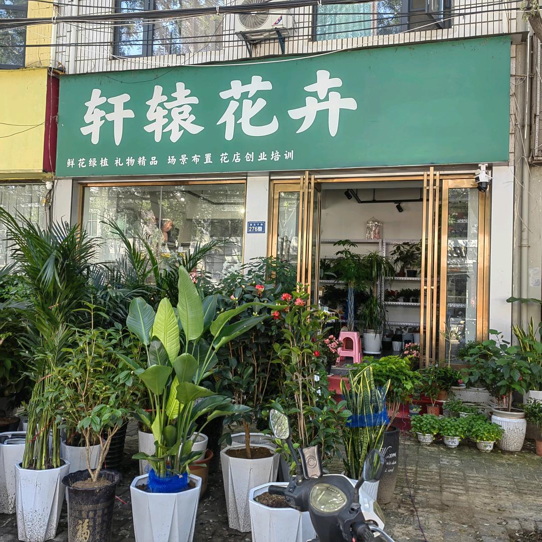 轩辕花卉渔夫子路店