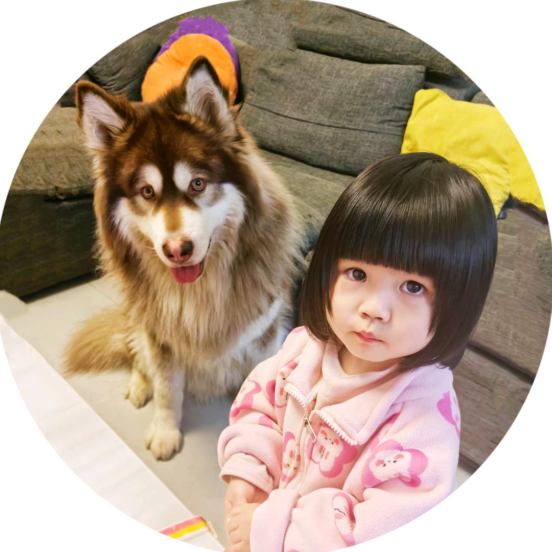 小岁禾的苦毛子