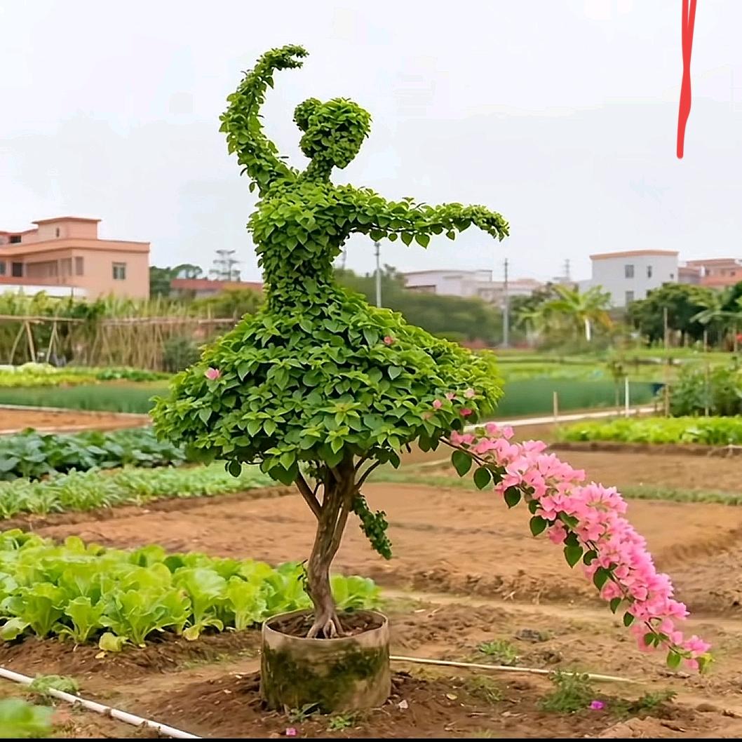 校花的贴身？？？