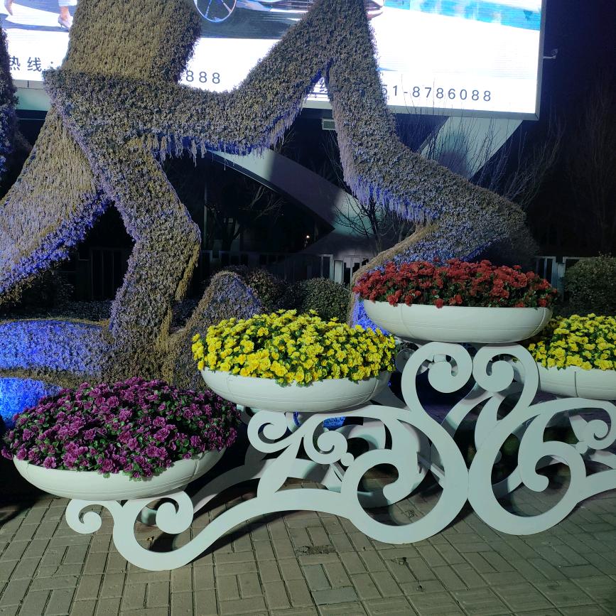 王先生的小女人