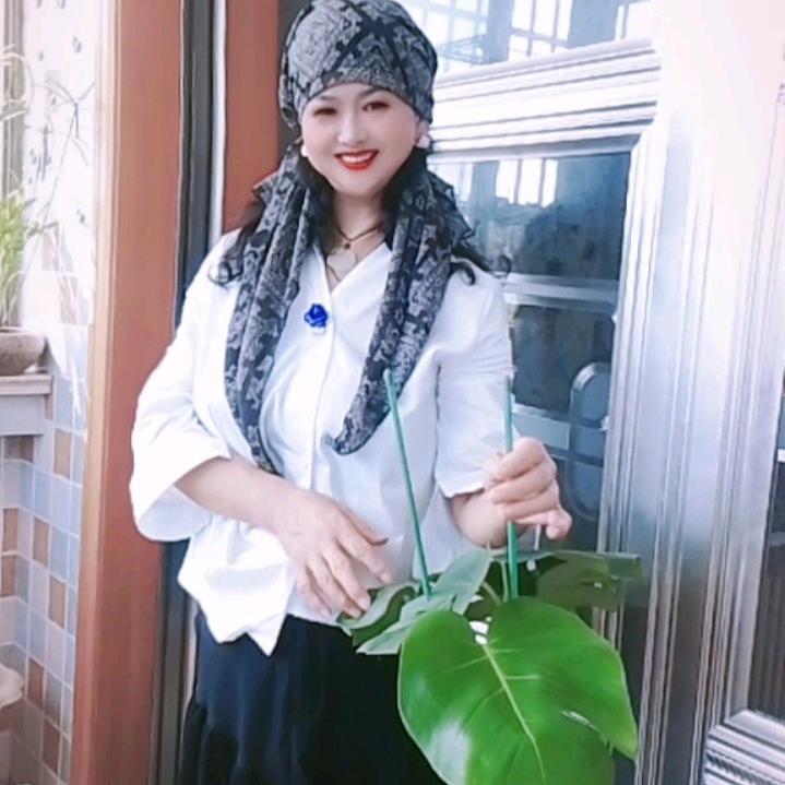 🌹曼丽🌿