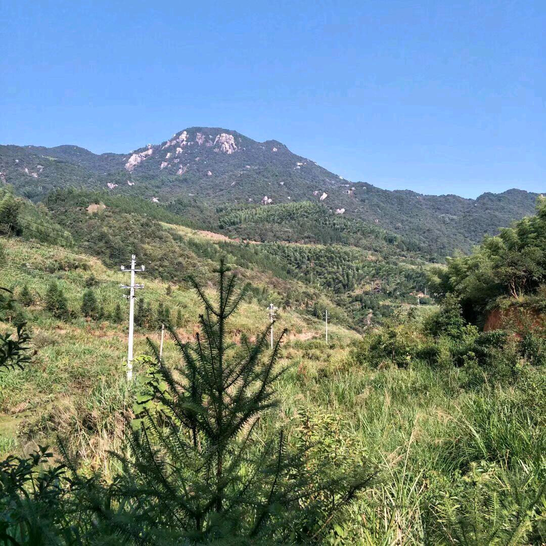 💞໑ຼₒ₂5顺其ღ᭄自然🦋꧔