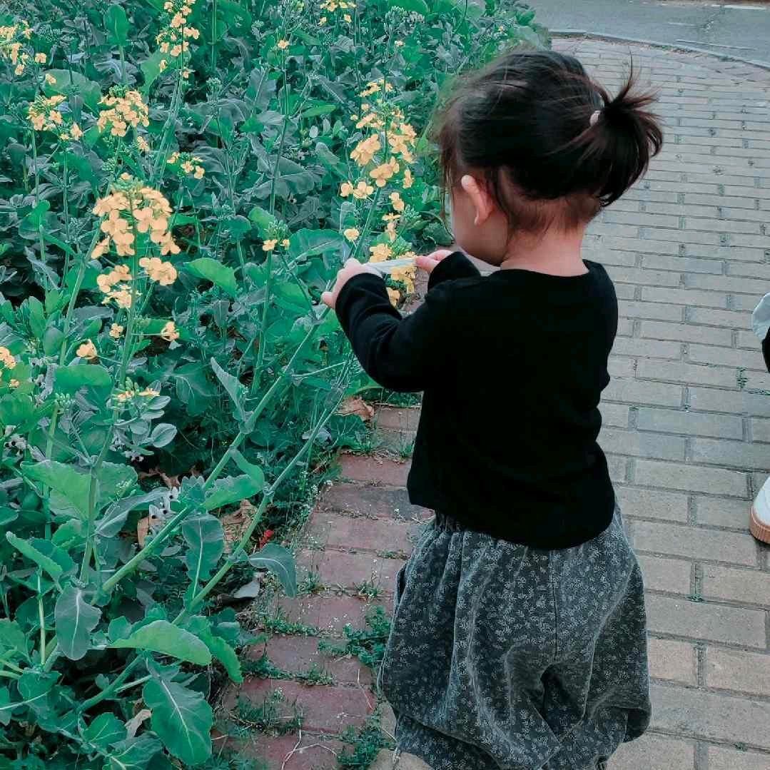 妞妞宝贝