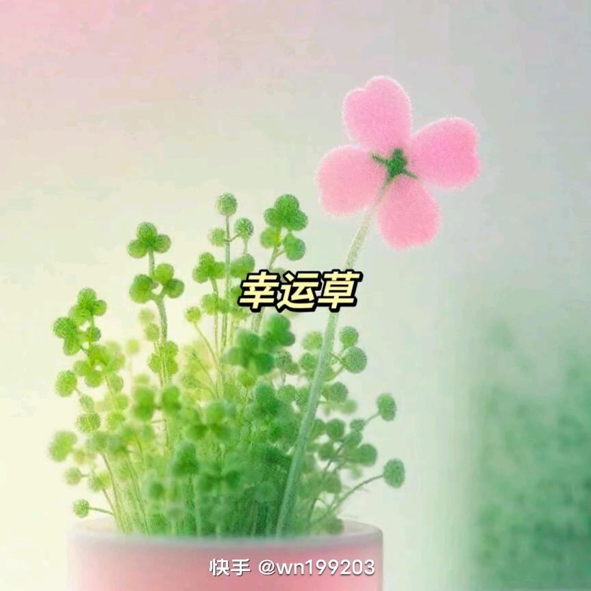 后来