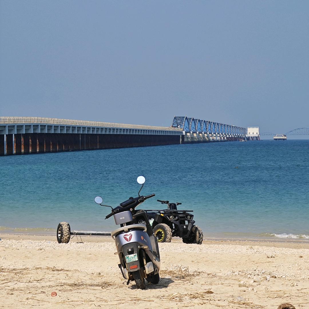 向往而生的花🌸