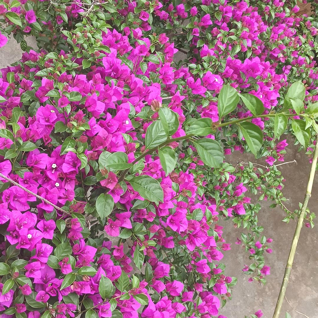 今生我来过