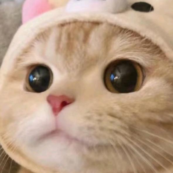 往事只能回味