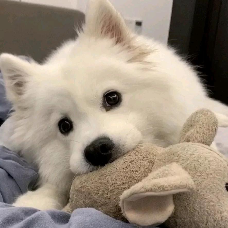 北辰か浅巷墨漓