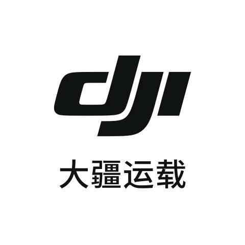 蔺洋