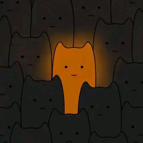 摆烂咸鱼💤（求关注）