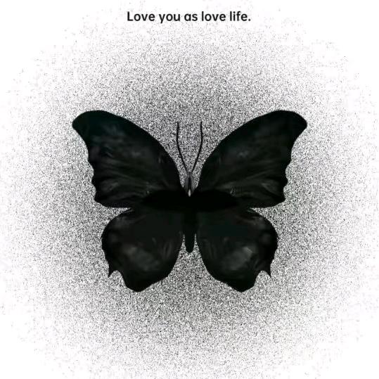 🗣️过度热情🌙