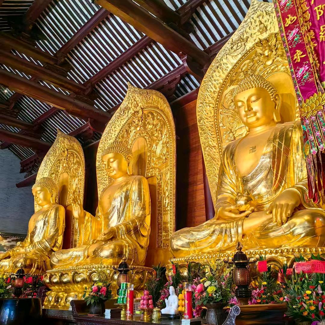 奔享财悟自由🌸