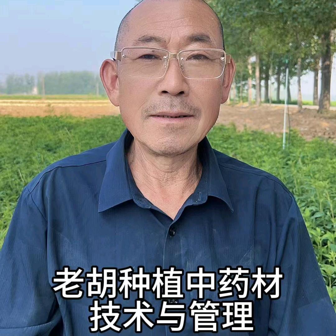 老胡种植中药材技术与管理