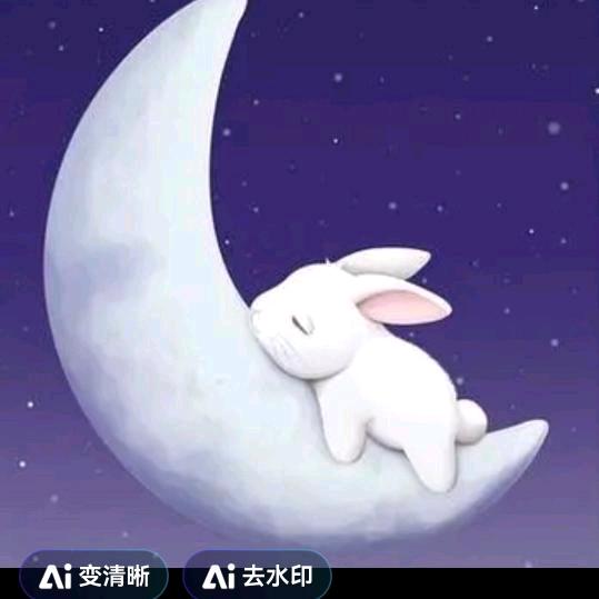 兔宝