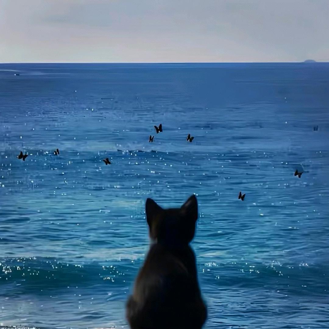 AAA__建材批发周总