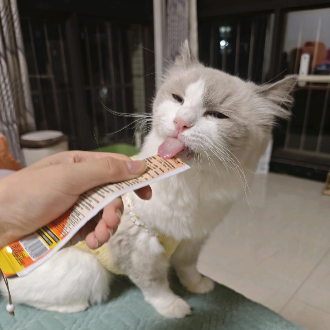 醉清风@