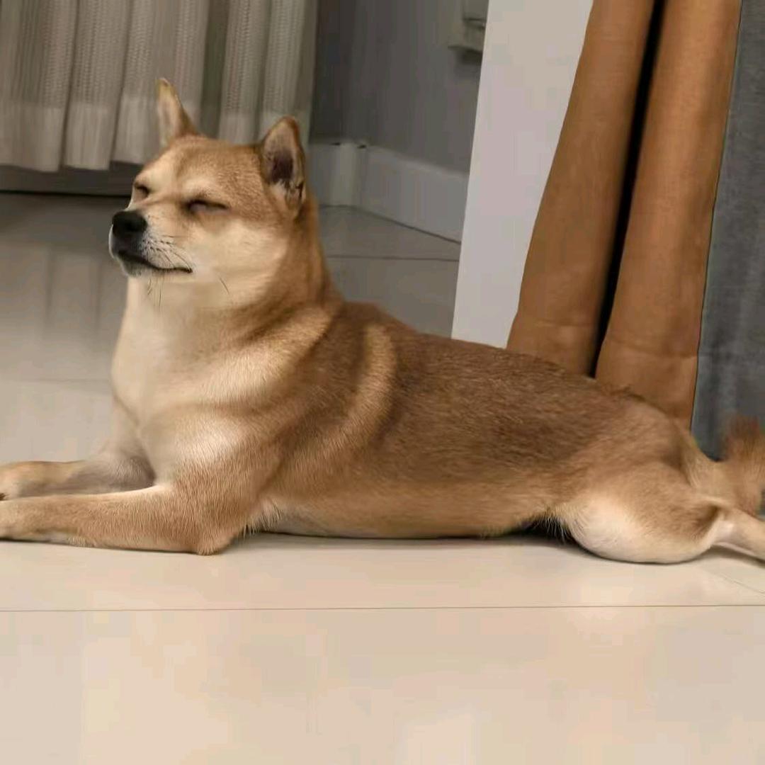 诫