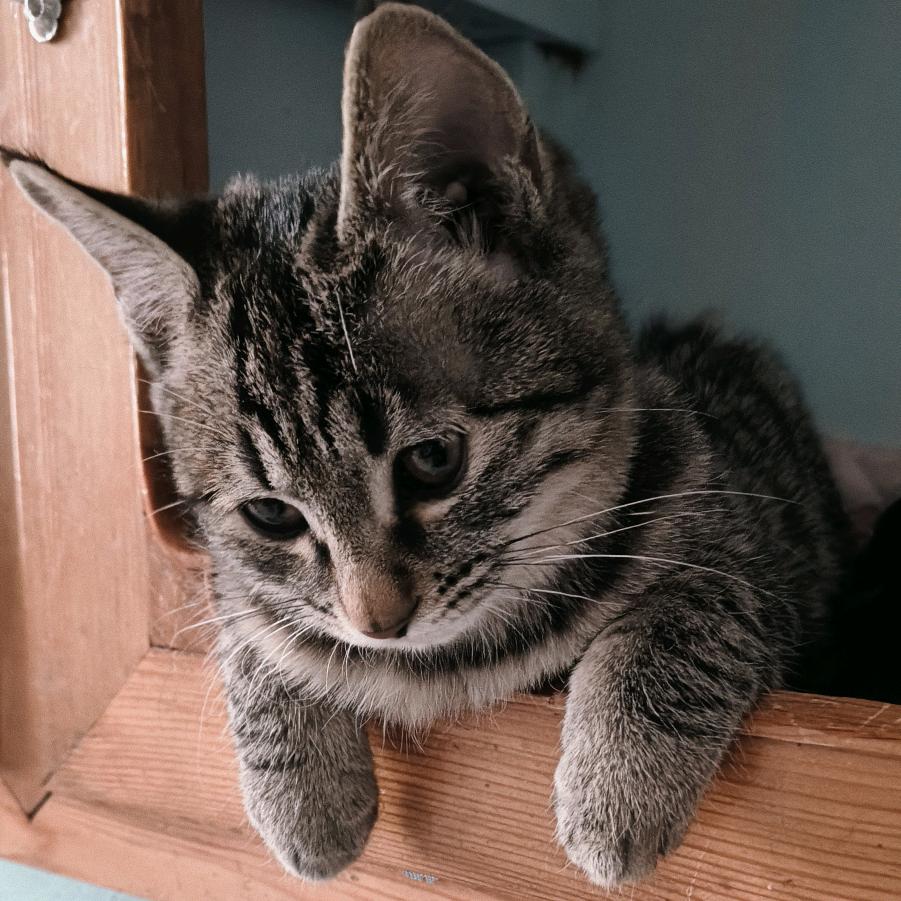 ☞💞浅陌L⁵²⁰初心᭄এ