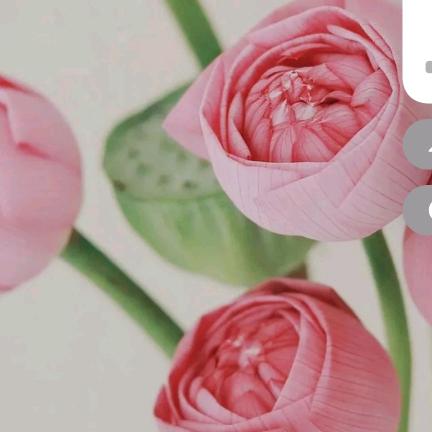 叁十6⃣️有点吃不饱🥱