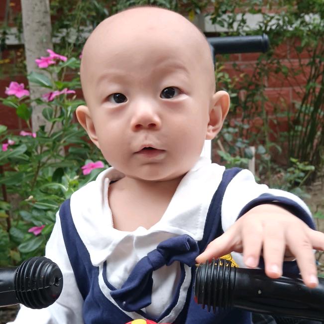 一🌹🌹生❤️❤️相🌺🌺伴🍎🍎