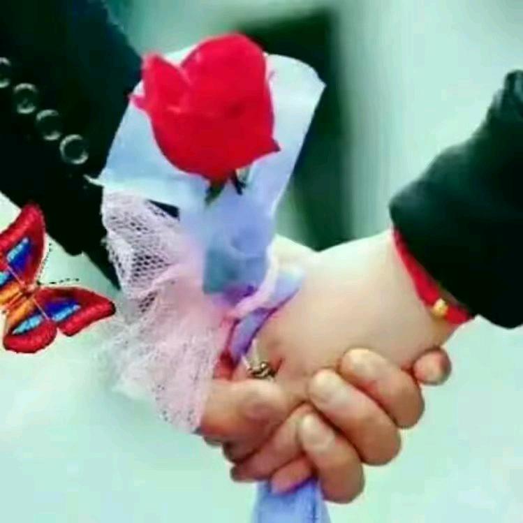 🌹一切靠自己🌹
