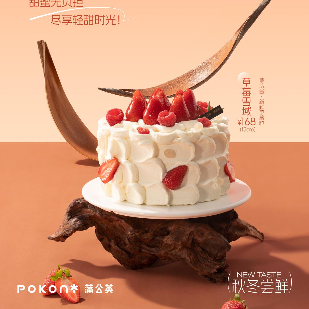 安阳蒲公英福利官