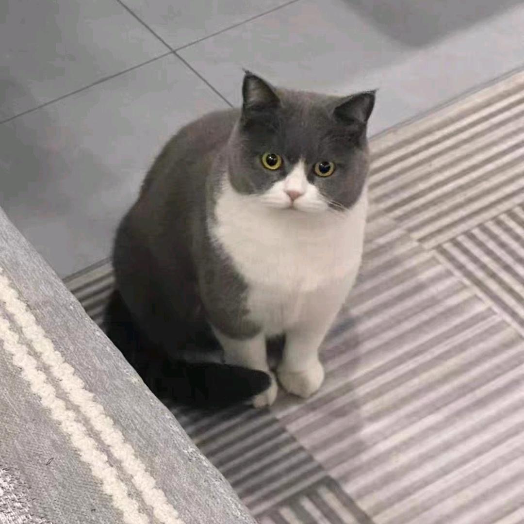 流云