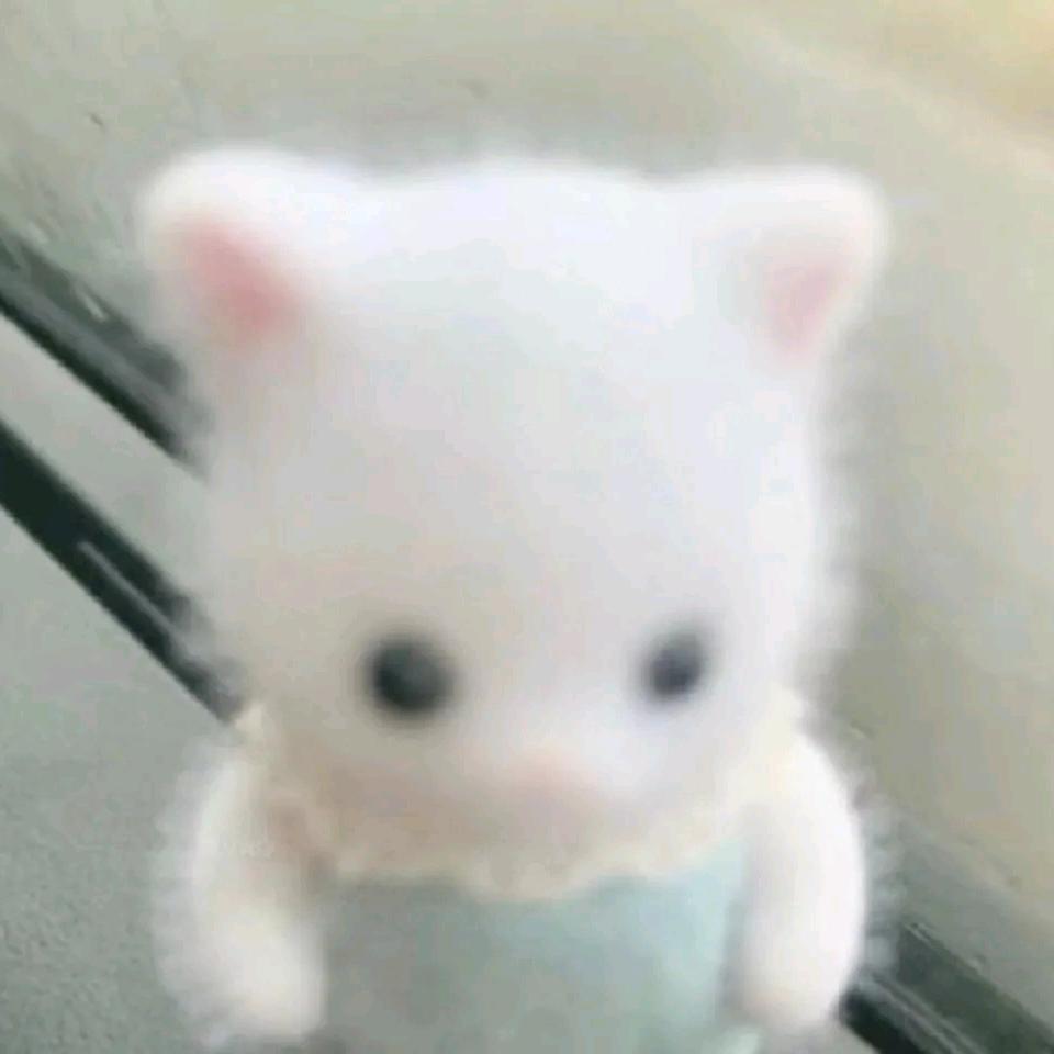 糖糖₍˄·͈༝·͈˄*₎◞ ̑̑