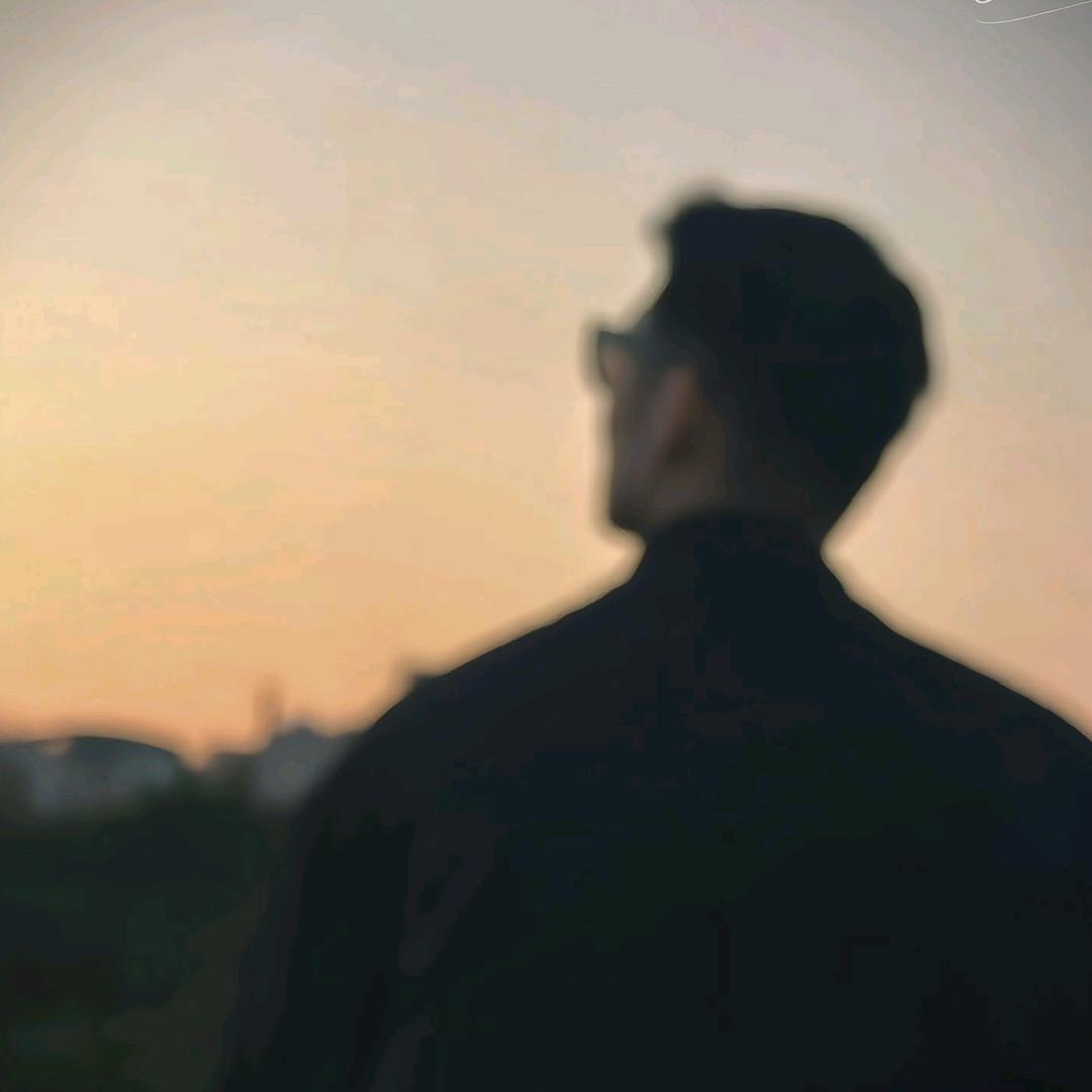 沈书白