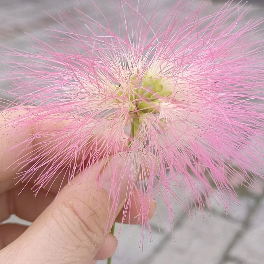 守望的天空