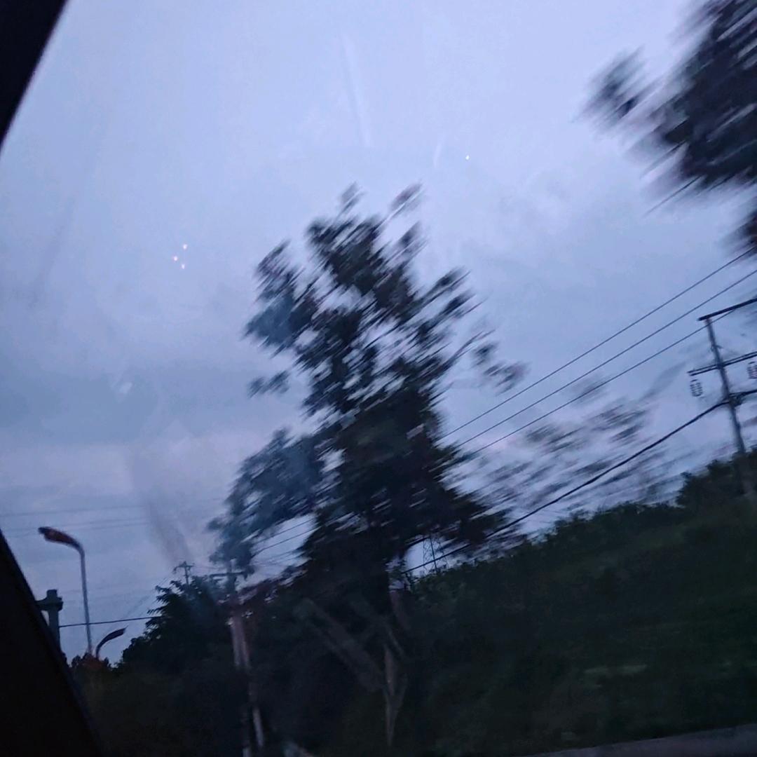 凉拌黄瓜