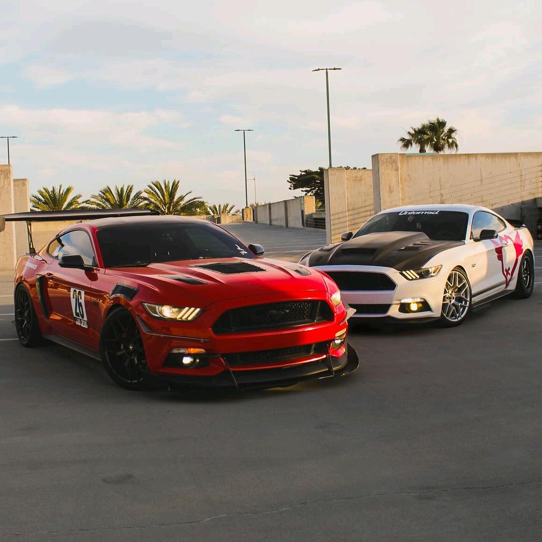 逃不掉Mustang