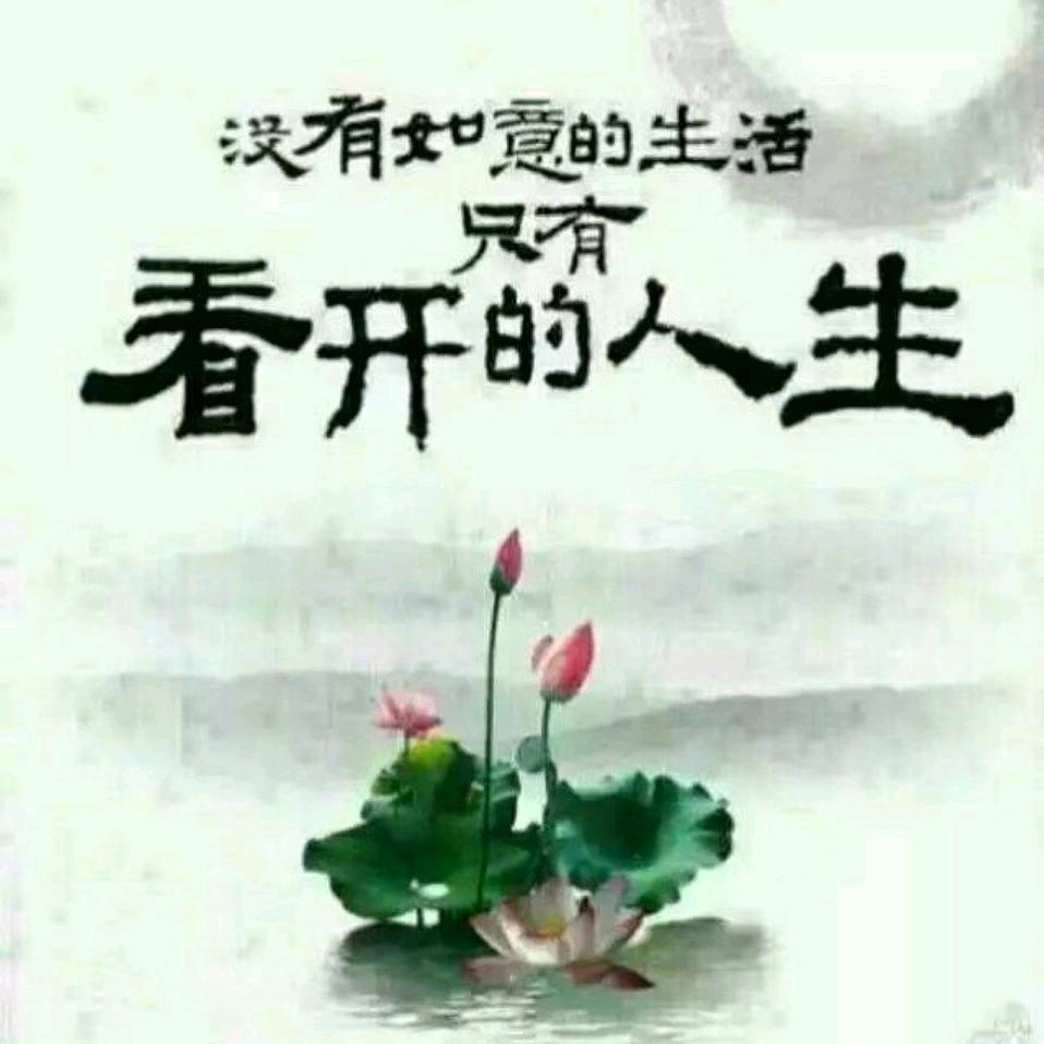 随缘🪷