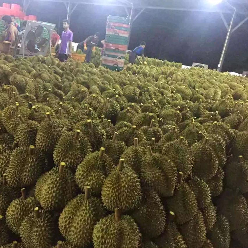 潘胖子