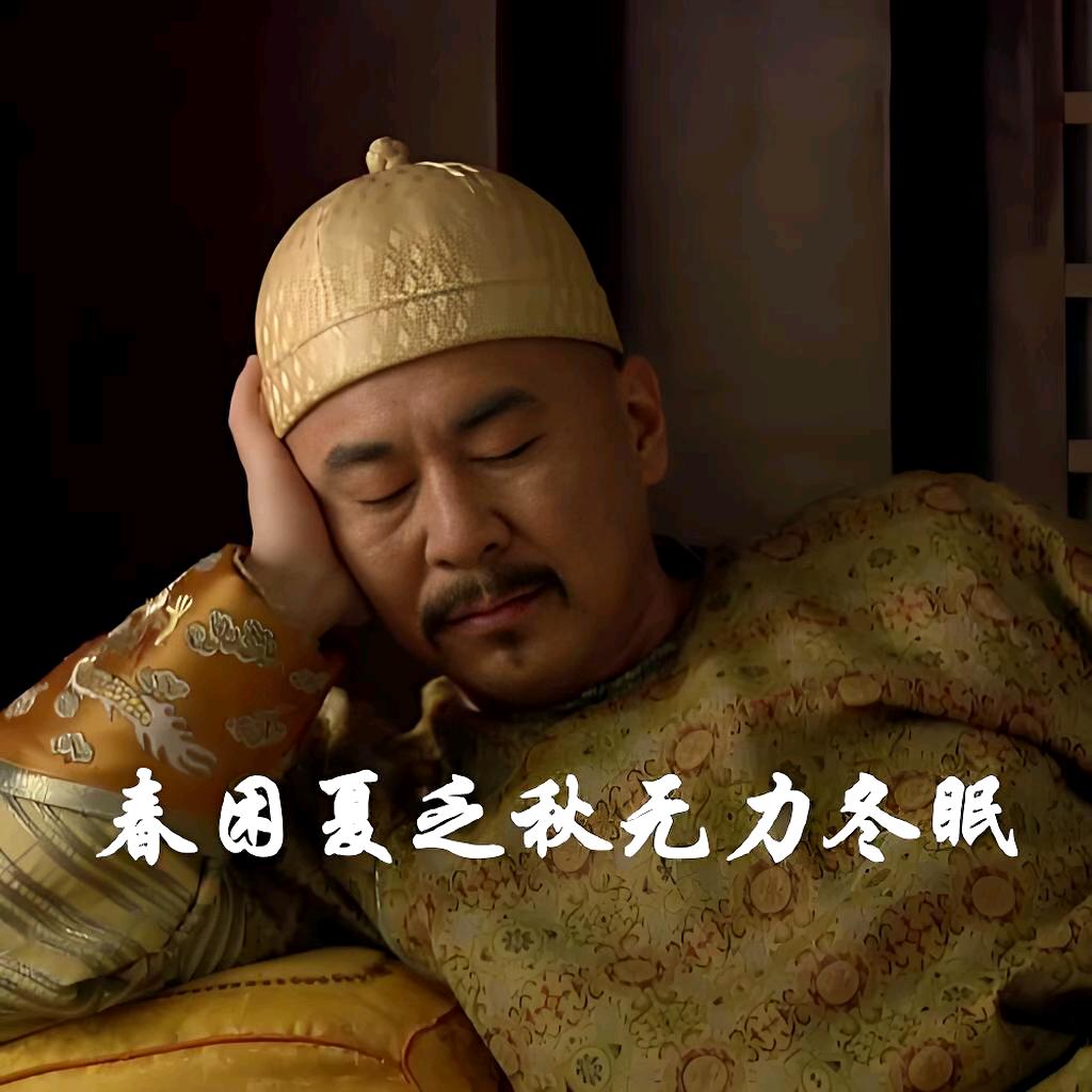朕说的对否