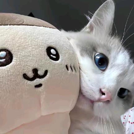 ほこり