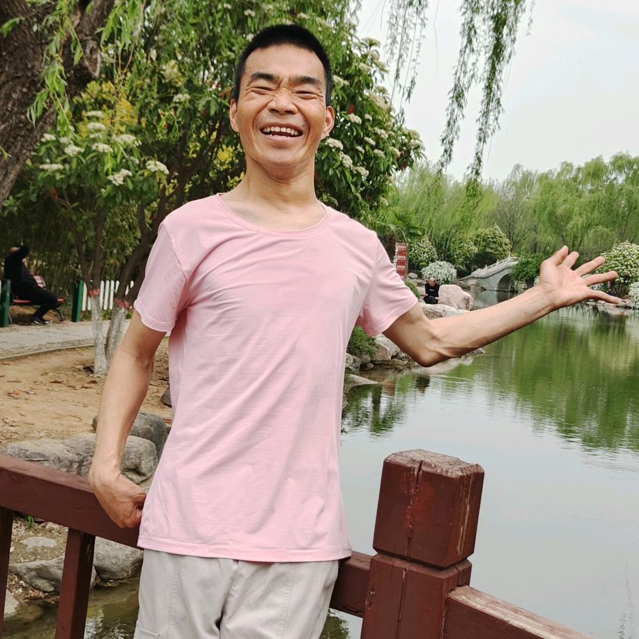 龙龙