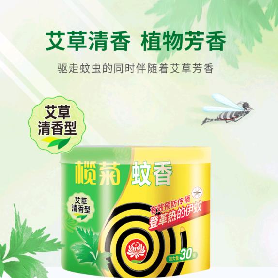 360天天向上