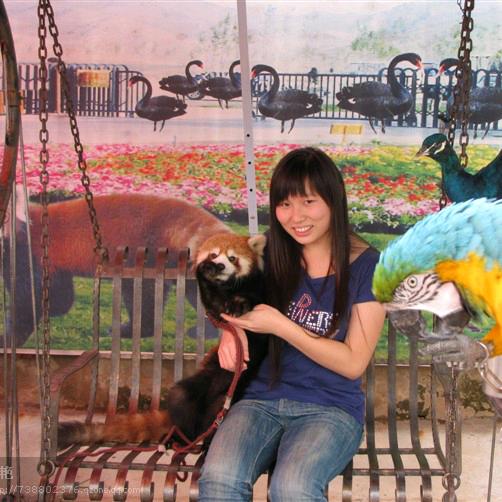 🍀🍀🍀🍀🍀🍀🍀🍀🍀🍀