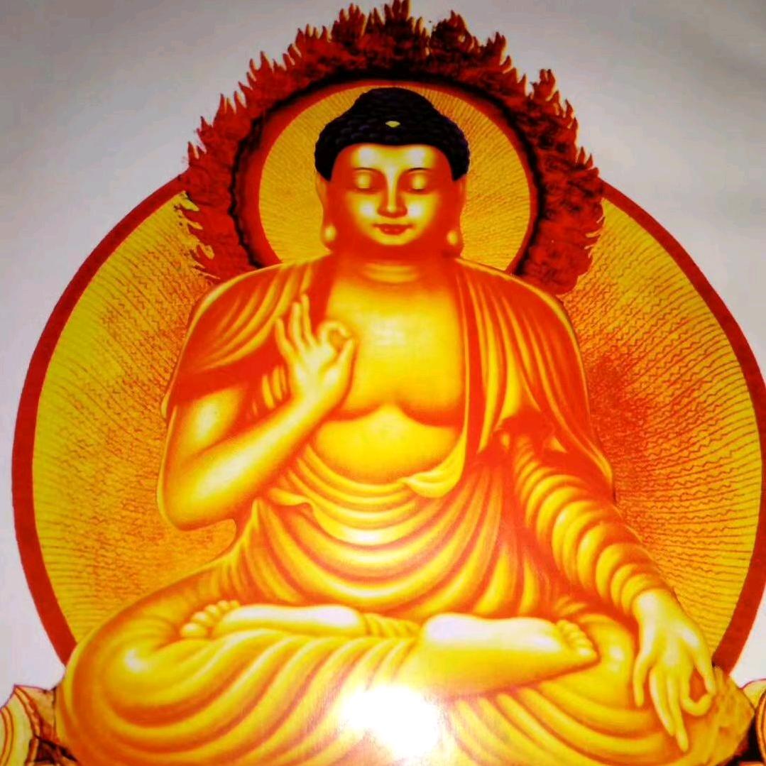 杨白佛