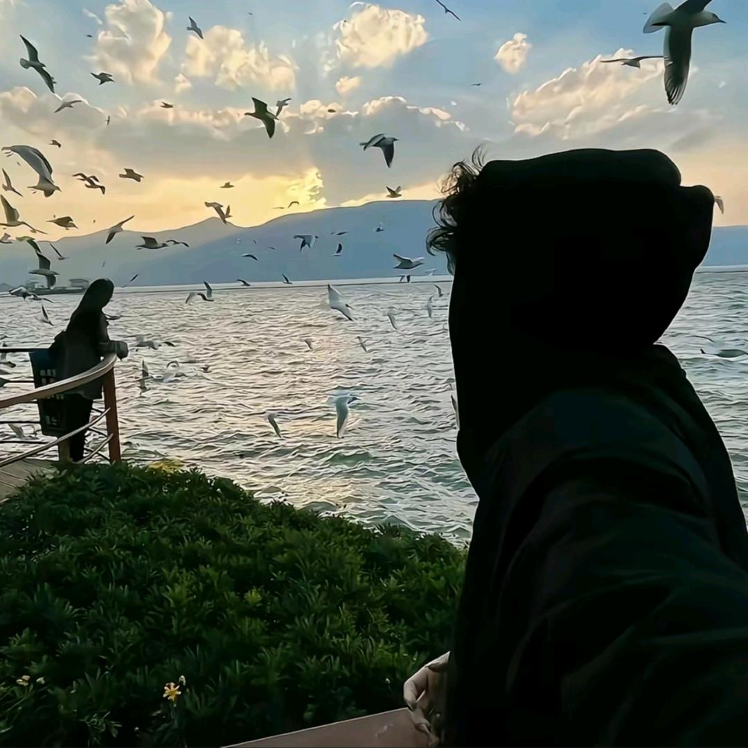 总失眠