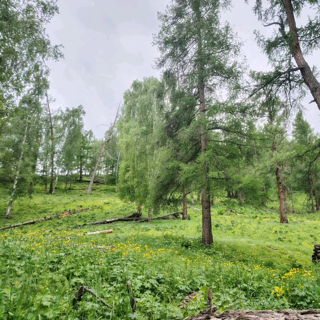 新疆泽源劳务公司 依 哥