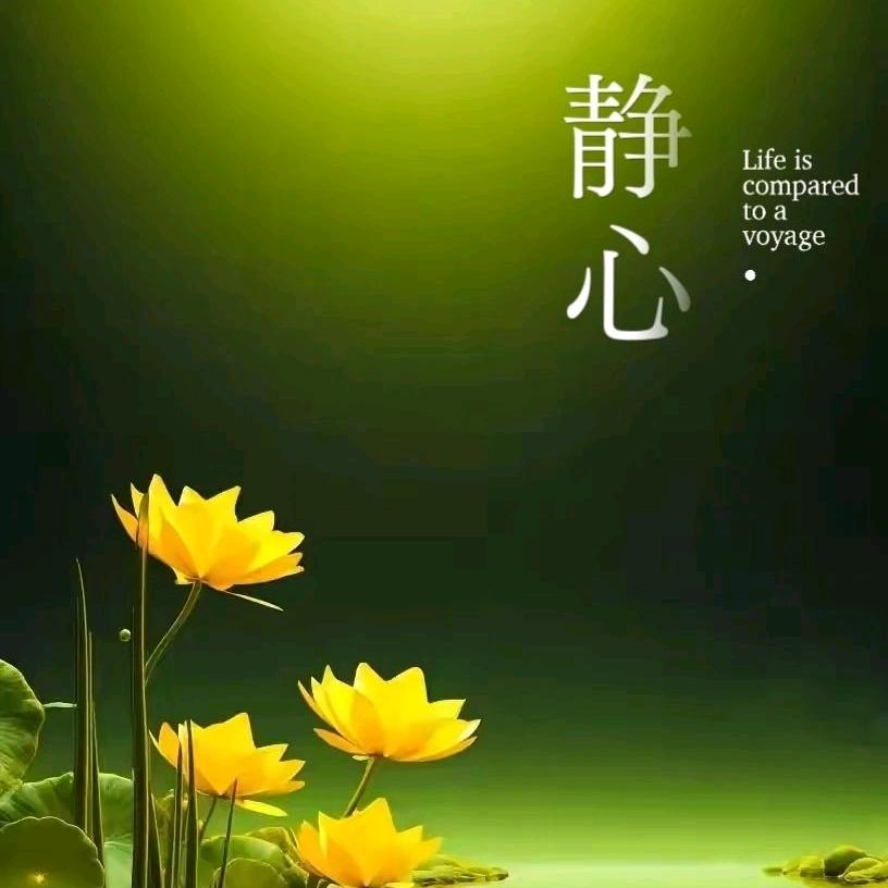 静心