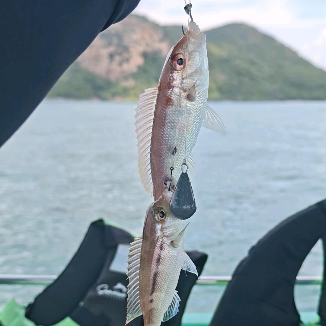 薯条🍟吃原味的