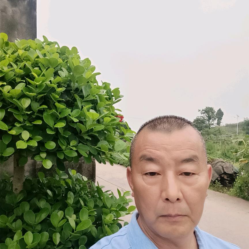万事如意